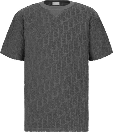dior t shirt grey